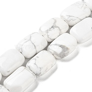 Natural Howlite Beads Strands, Rectangle, 14~15x10~11x5~5.5mm, Hole: 1~1.2mm, about 28pcs/strand, 16.02 inch(40.7cm)(G-K357-D05-01)