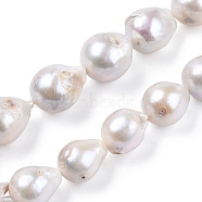 Natural Baroque Pearl Keshi Pearl Beads Strands, Cultured Freshwater Pearl, Teardrop, Seashell Color, 12~18.5x12~15.5x12~15.5mm, Hole: 0.7mm, about 25~26pcs/strand, 14.96 inch(38cm)(PEAR-Q015-016-01)