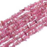 Natural Tourmaline Beads Strands, Chip, 3~6x1~3mm, Hole: 0.7mm, about 15.55 inch(39.5cm)(X-G-L550B-01)