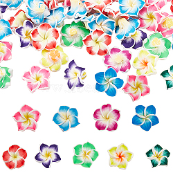 Handmade Polymer Clay 3D Flower Plumeria Beads, Mixed Color, 20x10mm, Hole: 2mm, 60pcs/bag(CLAY-SC0001-55A)
