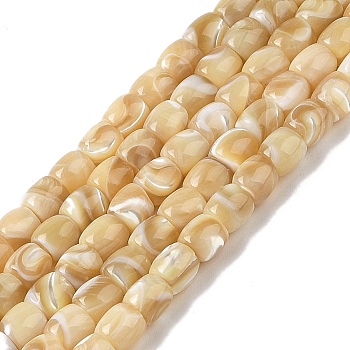 Natural Trochid Shell/Trochus Shell Beads Strands, Cloumn, Moccasin, 5~5.5x5.5~6mm, Hole: 1mm, about 66~68pcs/strand, 15.12~15.39''(38.4~39.1cm)