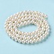 Natural Pearl Beads Strands(PEAR-E018-99)-3