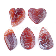 Natural Fire Agate Pendants, Dyed, Mixed Shape, 36.5~51.5x25~39x6~7mm, Hole: 1.2mm(G-T125-12)