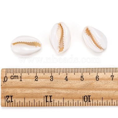 Perles de coquillage cauri naturelles(X-SHEL-S274-54)-5