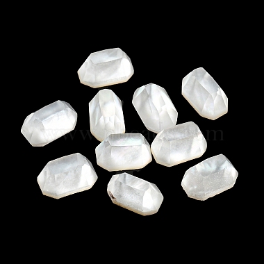 White Shell Cabochons(SSHEL-Z001-01)-2