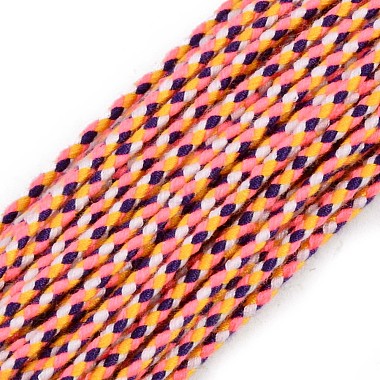 Polyester Braided Cords(OCOR-T015-A48)-2