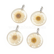 Alloy Resin Pendants, Flat Round Charms, with Dried Flower inside, Platinum, Moccasin, 39x32x4.5mm, Hole: 4x4mm(RESI-XCP0001-94)