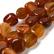 Natural Agate Beads Strands, Dyed & Heated, Nuggets, Tumbled Stone, Chocolate, 14~15x10~14x8~9.5mm, Hole: 1.6mm, about 12~13pcs/strand, 7.09~7.48''(18~19cm)(G-H295-D01-11)