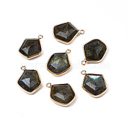 Natural Labradorite Pendants, with Golden Tone Brass Findings, Faceted, Pentagon, 18~19.5x14~15x6mm, Hole: 1.6mm(G-S359-381)