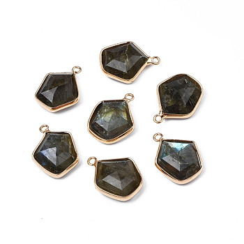 Natural Labradorite Pendants, with Golden Tone Brass Findings, Faceted, Pentagon, 18~19.5x14~15x6mm, Hole: 1.6mm