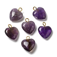 Natural Amethyst Pendants, Heart Charms with Golden Plated Brass Loops, 15~15.5x12~12.5x4.5~5.5mm, Hole: 2mm(G-E603-01G-03)