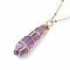 Double Pointed Natural Amethyst Pendant Necklace(NJEW-JN03720-02)-1