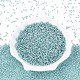 12 / 0丸いガラスシードビーズを等級分けする(SEED-Q007-F47)-2