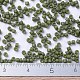 Perles miyuki delica petites(X-SEED-J020-DBS0391)-4