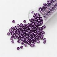 11/0 Grade A Baking Paint Glass Seed Beads, Round, Medium Orchid, 2.3x1.5mm, Hole: 1mm, about 5300pcs/50g(X-SEED-N001-A-1056)