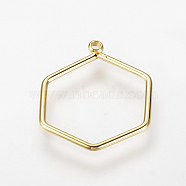 Brass Pendants, Nickel Free, Real 18K Gold Plated, Hexagon, 18x14x1mm, Hole: 1mm(KK-T020-10G)