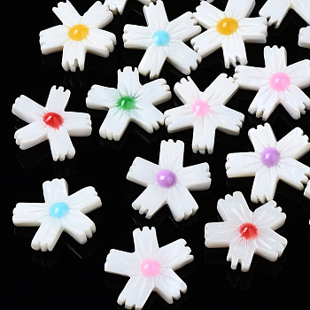 Natural Freshwater Shell Beads, with Enamel, Flower, Mixed Color, 15x14x4.5mm, Hole: 0.9mm