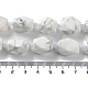 Natural Howlite Beads Strands(G-C182-23-02)-5