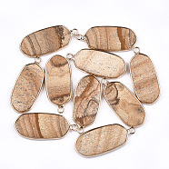 Natural Picture Jasper Pendants, with Brass Findings, Oval, Golden, 36~37x15~16x3~4mm, Hole: 2mm(G-T112-23B)