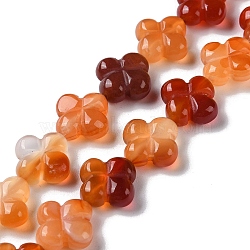 Natural Red Agate Beads Strands, Flower, 13~14x13~14x5~5.5mm, Hole: 1.2mm, about 15pcs/strand, 7.95''(20.2cm)(G-M418-D02-01)