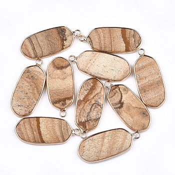 Natural Picture Jasper Pendants, with Brass Findings, Oval, Golden, 36~37x15~16x3~4mm, Hole: 2mm