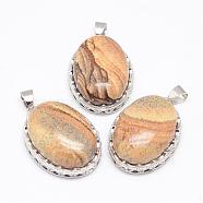 Natural Picture Jasper Pendants, with Brass Findings, Oval, Platinum, 30x21x10~11mm, Hole: 6x4mm(G-D851-40)