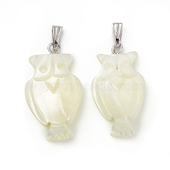Natural Trochid Shell/Trochus Shell Pendants, Owl Charms, with Platinum Tone Iron Findings, Seashell Color, Fit for 1.8mm Rhinestone, 26.5x15x4.5mm, Hole: 6x2mm(SSHEL-K027-11)