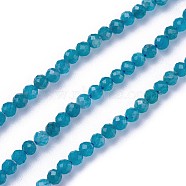Natural Apatite Beads Strands, Faceted, Round, Dark Cyan, 3~3.5mm, Hole: 0.5mm, about 115~130pcs/strand, 14.5~16.1 inch(37~41cm)(G-F619-13B-3mm)