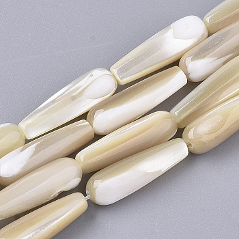 Natural Trochid Shell/Trochus Shell Beads Strands, Teardrop, 19~20x6mm, Hole: 0.8mm, about 20pcs/Strand, 15.45 inch(39.25cm)