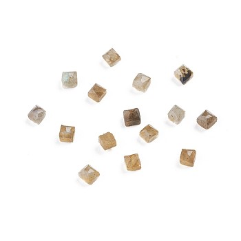 Natural Labradorite Cabochons, Square, Faceted, 2.5x2.5x2mm