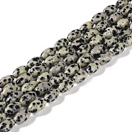 Natural Dalmatian Jasper Beads Strands, Oval, 12x6mm, Hole: 0.9mm, about 33~34pcs/strand, 15.55''~15.94''(39.5~40.5cm)(G-K362-I14-06)