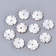 Natural White Shell Beads, Mother of Pearl Shell Beads, Flower, 8.5x8.5x1.5mm, Hole: 1mm(SSHEL-S260-050A)