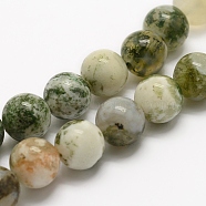 Natural Tree Agate Beads Strands, Round, 8mm, Hole: 1mm, about 46pcs/strand, 14.5 inches(37cm)(G-G735-02-8mm)