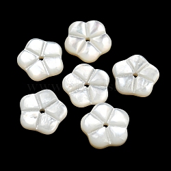 Natural White Shell Beads, Flower, WhiteSmoke, 10x10.5x2.5mm, Hole: 1mm(BSHE-G034-29)