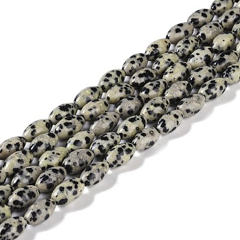 Natural Dalmatian Jasper Beads Strands, Oval, 12x6mm, Hole: 0.9mm, about 33~34pcs/strand, 15.55''~15.94''(39.5~40.5cm)