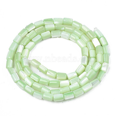 Natural Trochid Shell/Trochus Shell Beads Strands(SHEL-N003-26-B08)-2
