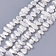 Electroplate Shell Pearl Beads Strands(SSHEL-S261-01F)-1