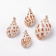 Electroplate Spiral Shell Pendants, with Iron Findings, Conch, Golden, 27~40x15~24x13~21mm, Hole: 2mm(BSHE-L036-04)