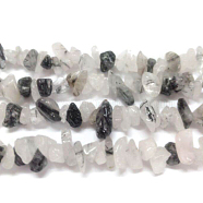 Natural Rutilated Quartz Chips Beads Strands, 5~8mm, Hole: 0.3mm, about 32~32.5 inch(F010)