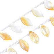 Natural Yellow Shell Beads Strands, Leaf, 17.5~18.5x8~9x2~3mm, Hole: 0.5mm, about 20pcs/strand, 12.87 inch(32.7cm)(SSHEL-S278-118)