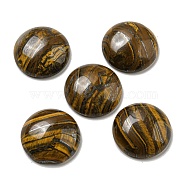 Natural Tiger Iron Cabochons, Flat Round, 20~21.5x6~8mm(G-C115-02A-34)