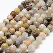 Natural Bamboo Leaf Agate Beads Strands, Round, 8mm, Hole: 1mm, about 47pcs/strand, 15.3 inch(X-G-F364-02-8mm)