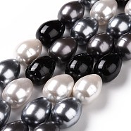 Shell Pearl Bead Strands, Grade A, Barrel, Black, 23x17mm, Hole: 1mm, about 17pcs/strand, 15.15 inch(BSHE-L034-04C)