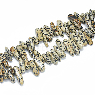 Natural Dalmatian Jasper Beads Strands, Chip, 10~30x5~10x3~9mm, Hole: 1mm, about 65~85pcs/strand, 14.9 inch(G-S312-09)