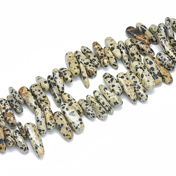 Natural Dalmatian Jasper Beads Strands, Chip, 10~30x5~10x3~9mm, Hole: 1mm, about 65~85pcs/strand, 14.9 inch