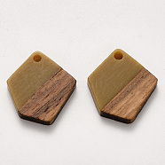 Resin & Walnut Wood Pendants, Waxed, Polygon, Dark Goldenrod, 20.5x18.5x3~4mm, Hole: 2mm(RESI-S384-003A-A02)