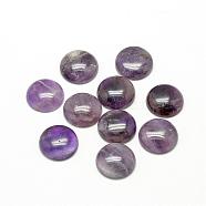 Natural Amethyst Cabochons, Half Round/Dome, 6x3~4mm(G-R416-6mm-30)