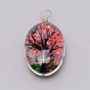 Dried Flower Inside Glass Pendant, with Iron Findings, Oval with Tree of Life Pattern, Tomato, 33x18x4mm, Hole: 4mm(GLAA-WH0030-02C)