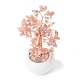 Natürliche Rosenquarzsplitter mit messingumwickeltem Geldbaum aus Draht auf Keramikvasen als Dekoration(DJEW-B007-02E)-3