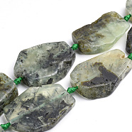 Natural Prehnite Beads Strands, Flat Slab Beads, Nuggets, 28~60x15~42x6~8mm, Hole: 3mm; about 8~12pcs/strand, 16.3 inches(G-S268-10)